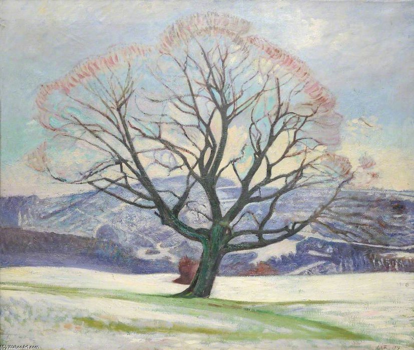 WikiOO.org - Enciklopedija dailės - Tapyba, meno kuriniai William Rothenstein - Wych Elm In Winter
