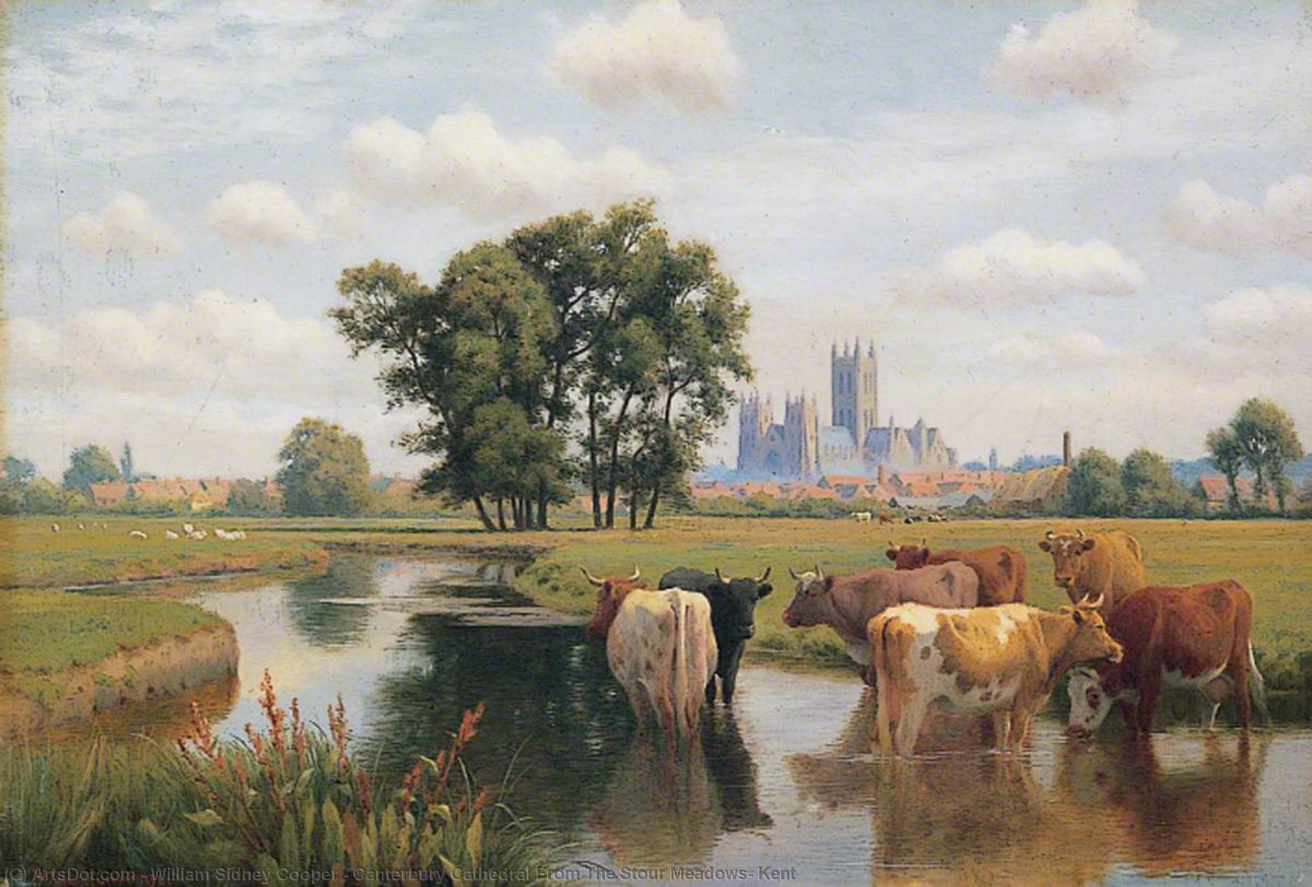 Wikioo.org - The Encyclopedia of Fine Arts - Painting, Artwork by William Sidney Cooper - Canterbury Cathedral From The Stour Meadows, Kent