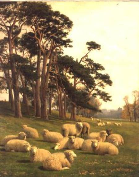 WikiOO.org - Enciclopedia of Fine Arts - Pictura, lucrări de artă William Sidney Cooper - Sunlit Pastures