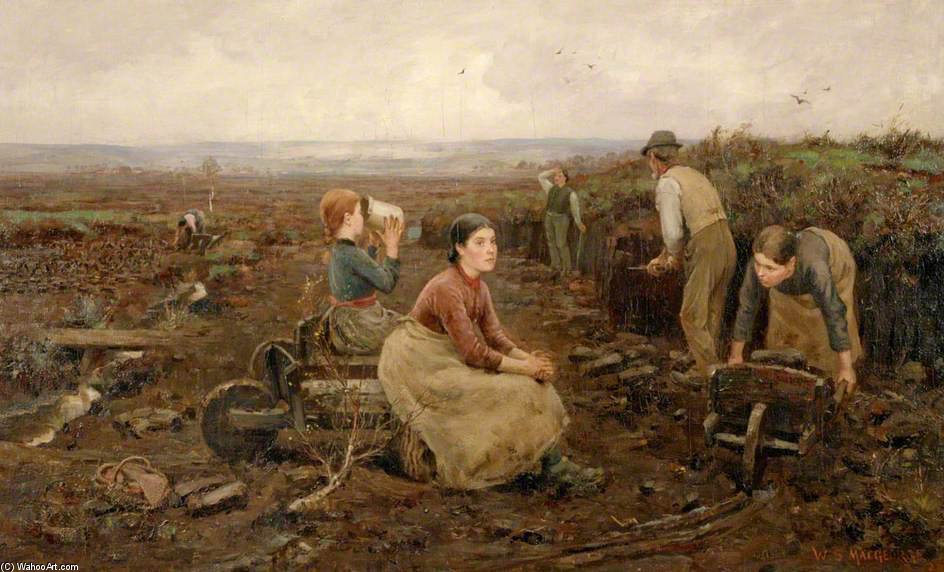 Wikioo.org - The Encyclopedia of Fine Arts - Painting, Artwork by William Stewart Macgeorge - A Galloway Peat Moss