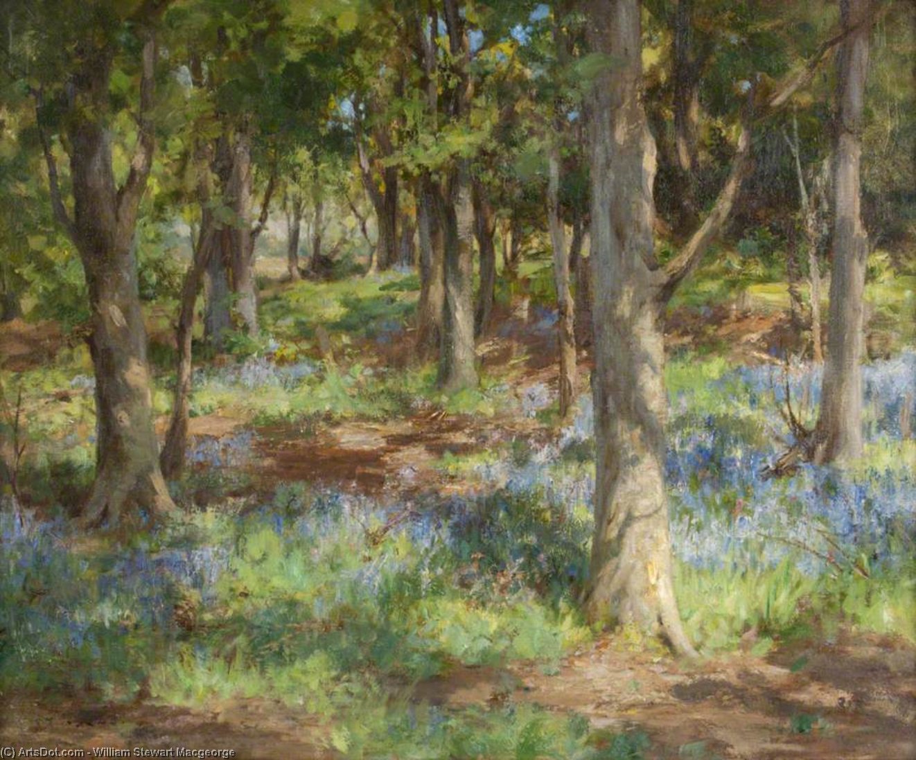 Wikioo.org - The Encyclopedia of Fine Arts - Painting, Artwork by William Stewart Macgeorge - Bluebells, Torrs Wood, Kirkcudbright