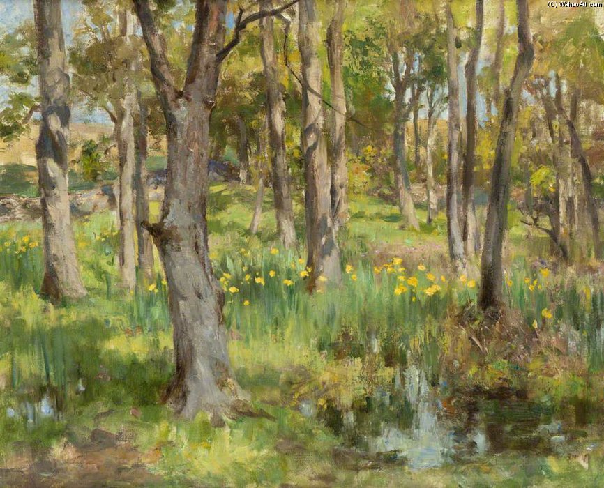 Wikioo.org - Bách khoa toàn thư về mỹ thuật - Vẽ tranh, Tác phẩm nghệ thuật William Stewart Macgeorge - Daffodils In Torrs Wood