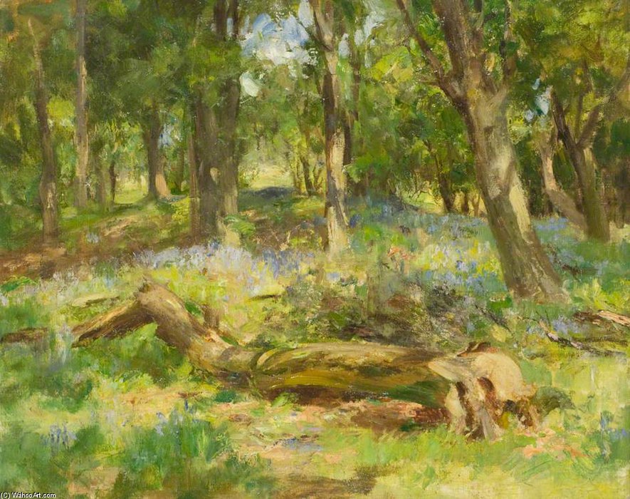 Wikioo.org - The Encyclopedia of Fine Arts - Painting, Artwork by William Stewart Macgeorge - Woodland Scene -