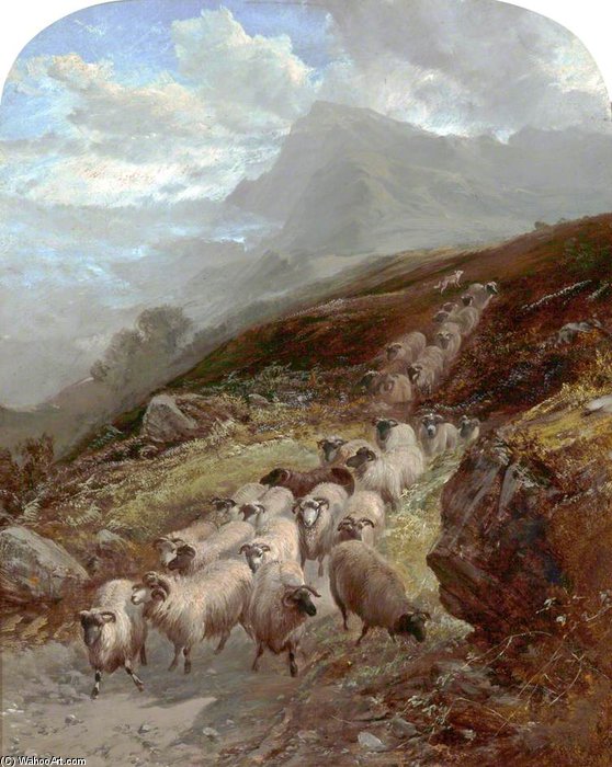 Wikioo.org - สารานุกรมวิจิตรศิลป์ - จิตรกรรม William Watson - Sheep On A Mountainside