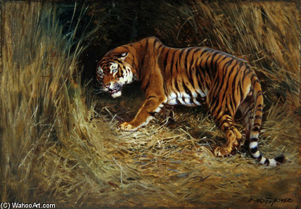 Wikoo.org - موسوعة الفنون الجميلة - اللوحة، العمل الفني William Arnold Woodhouse - A Prowling Tiger