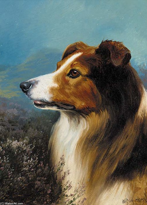 Wikioo.org - The Encyclopedia of Fine Arts - Painting, Artwork by Wilson Hepple - A Collie In A Moorland Landscape