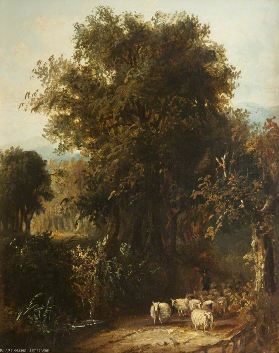 Wikioo.org - The Encyclopedia of Fine Arts - Painting, Artwork by James Stark - Norfolk Wooded Landscape