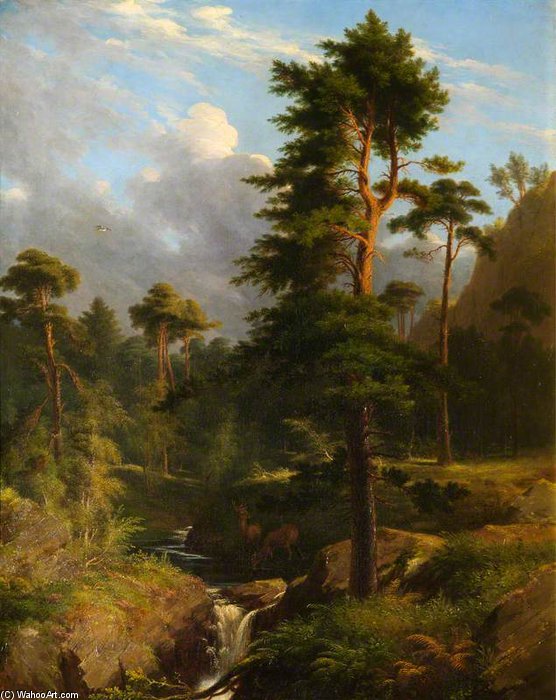 Wikioo.org - The Encyclopedia of Fine Arts - Painting, Artwork by James William Giles - Deer Drinking At A Forest Stream
