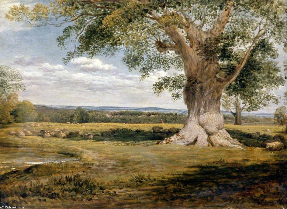 WikiOO.org - Енциклопедия за изящни изкуства - Живопис, Произведения на изкуството John Linnell - Woody Landscape