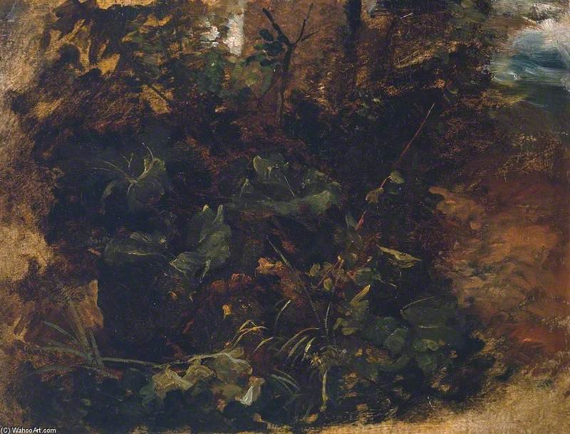 WikiOO.org - Encyclopedia of Fine Arts - Maleri, Artwork Peter De Wint - Study Of Burdock And Other Plants