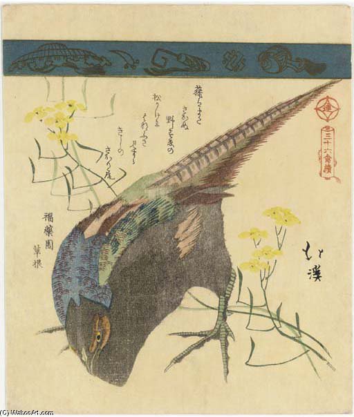 WikiOO.org - Encyclopedia of Fine Arts - Festés, Grafika Toyota Hokkei - Pheasant With Yellow Flowers