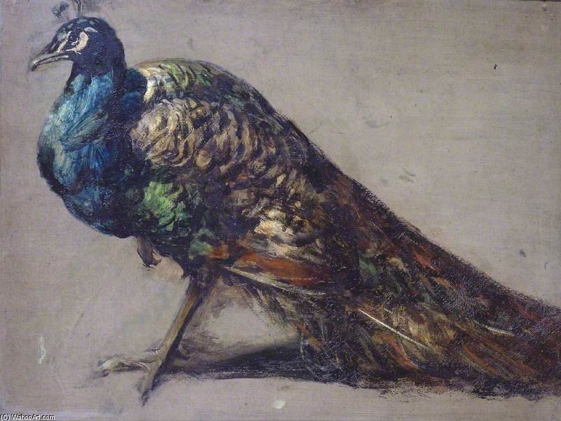 Wikioo.org - The Encyclopedia of Fine Arts - Painting, Artwork by William Etty - Study Of A Peacock For 'the Judgement Of Paris'