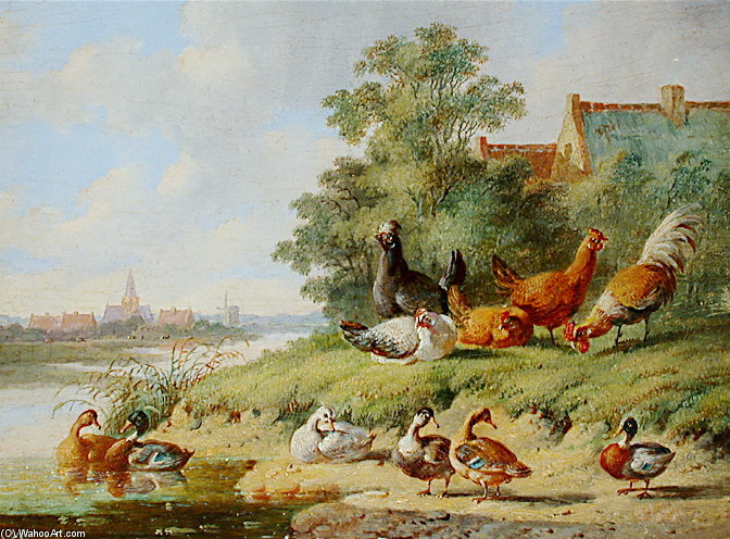 Wikioo.org – L'Encyclopédie des Beaux Arts - Peinture, Oeuvre de Albertus Verhoesen - oiseaux au  au  rivière
