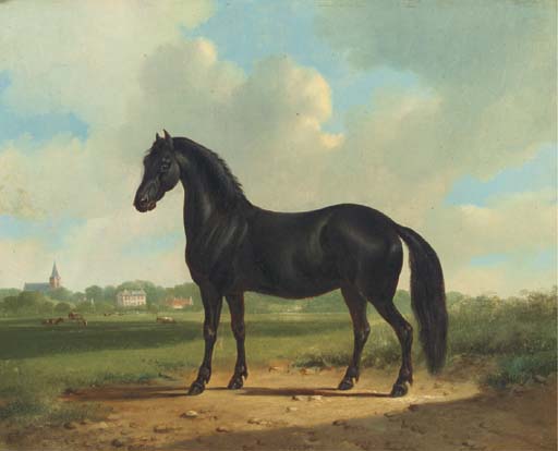 WikiOO.org - Encyclopedia of Fine Arts - Schilderen, Artwork Albertus Verhoesen - Black Beauty
