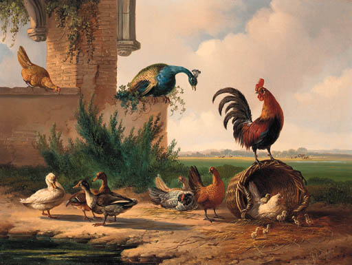 Wikoo.org - موسوعة الفنون الجميلة - اللوحة، العمل الفني Albertus Verhoesen - Peacock, Rooster, Chickens And Ducks By A Ruin