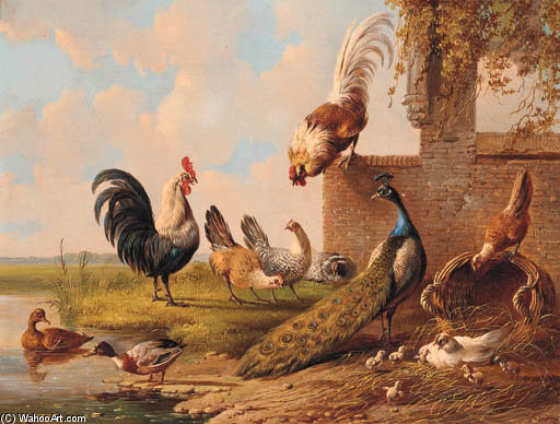 Wikioo.org – La Enciclopedia de las Bellas Artes - Pintura, Obras de arte de Albertus Verhoesen - Pavo real, gallos, pollos y patos por un estanque y una ruina