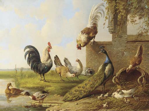 Wikioo.org – La Enciclopedia de las Bellas Artes - Pintura, Obras de arte de Albertus Verhoesen - Aves Y Un pavo real Por Una Ruina -