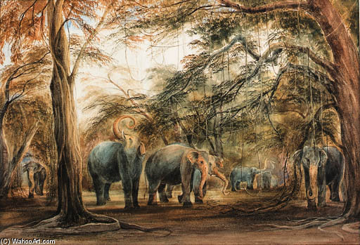 Wikioo.org – La Enciclopedia de las Bellas Artes - Pintura, Obras de arte de Andrew Nicholl - Una manada de elefantes, Ceilán