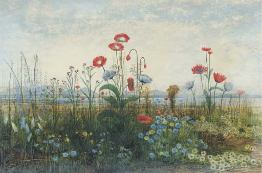 WikiOO.org - Encyclopedia of Fine Arts - Festés, Grafika Andrew Nicholl - Poppies, Ox-eye Daisies And Dandelions At The Edge Of A Field