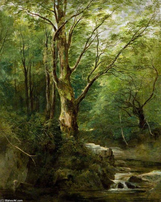 WikiOO.org - Енциклопедия за изящни изкуства - Живопис, Произведения на изкуството Andrew Nicholl - The Old Tree in the Glen – June