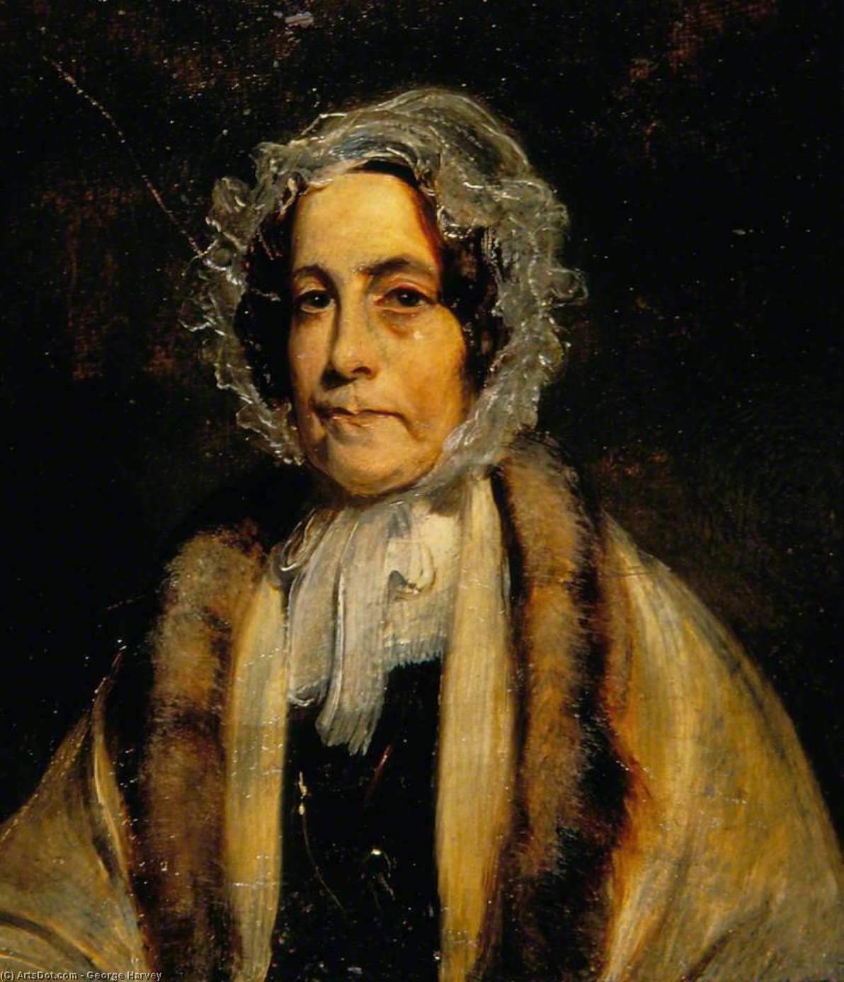 Wikioo.org - The Encyclopedia of Fine Arts - Painting, Artwork by George Harvey - Portrait Of A Lady