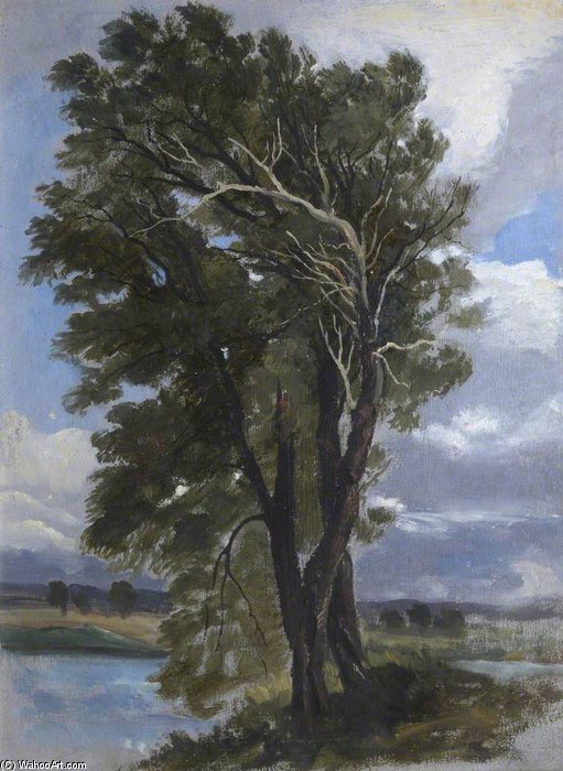 WikiOO.org - Enciclopedia of Fine Arts - Pictura, lucrări de artă George Harvey - Trees In A Wind