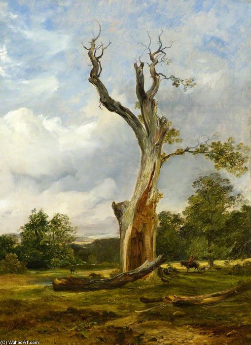 WikiOO.org - Enciclopedia of Fine Arts - Pictura, lucrări de artă Horatio Mcculloch - The Blasted Tree