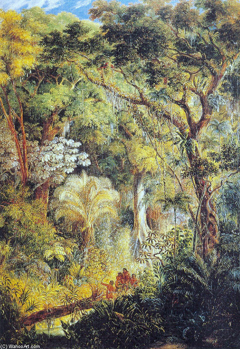 Wikioo.org - The Encyclopedia of Fine Arts - Painting, Artwork by Johann Moritz Rugendas - Arbre Géant Dans La Forêt Tropicale Brésilienne