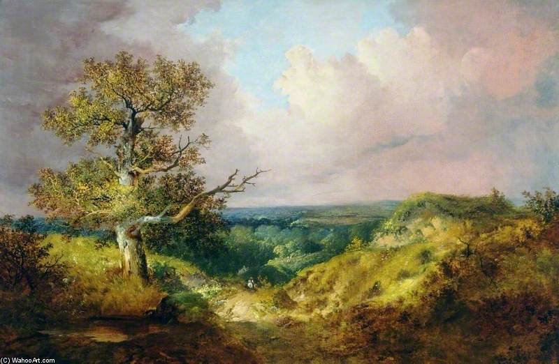 Wikioo.org - The Encyclopedia of Fine Arts - Painting, Artwork by John Berney Ladbrooke - A Passing Storm