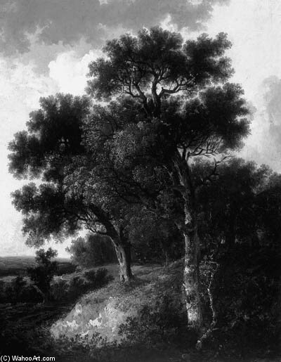 Wikioo.org - สารานุกรมวิจิตรศิลป์ - จิตรกรรม John Berney Ladbrooke - Colney Woods, Norfolk