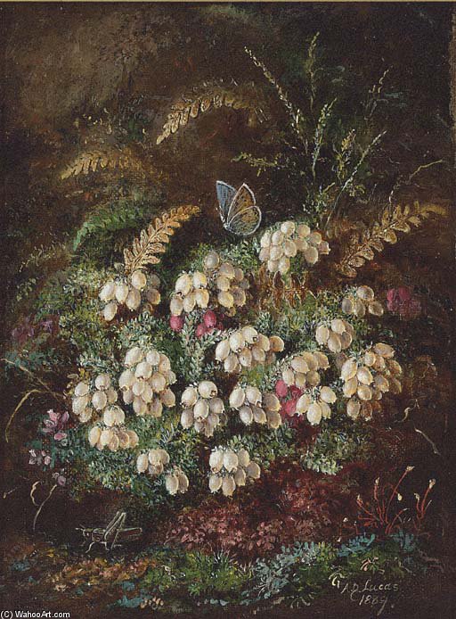 WikiOO.org – 美術百科全書 - 繪畫，作品 Albrecht Durer - 石南属 和  一个  蝴蝶  和  报春花属  和  中提琴