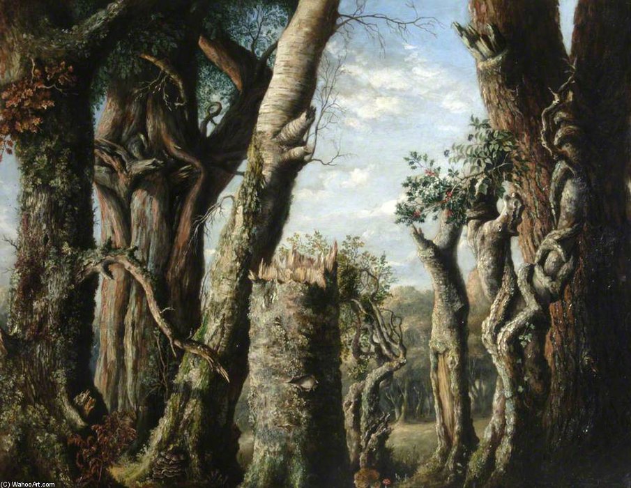 Wikioo.org - The Encyclopedia of Fine Arts - Painting, Artwork by Albrecht Durer - Oak, Holly And Other Trees