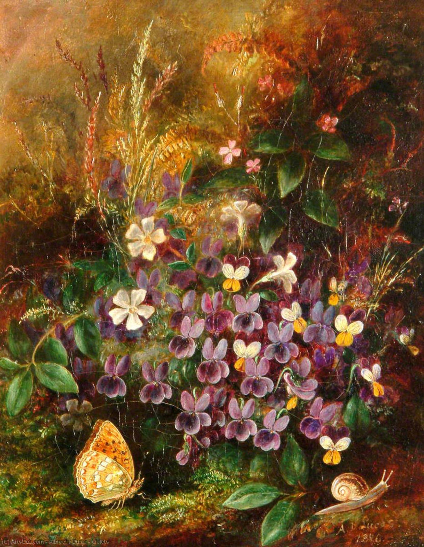 WikiOO.org - Енциклопедия за изящни изкуства - Живопис, Произведения на изкуството Albrecht Durer - Violets