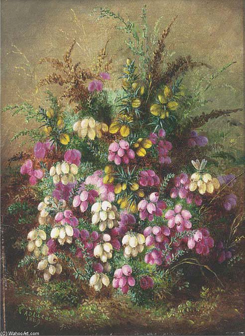 WikiOO.org - Encyclopedia of Fine Arts - Maľba, Artwork Albrecht Durer - Wild Flowers -