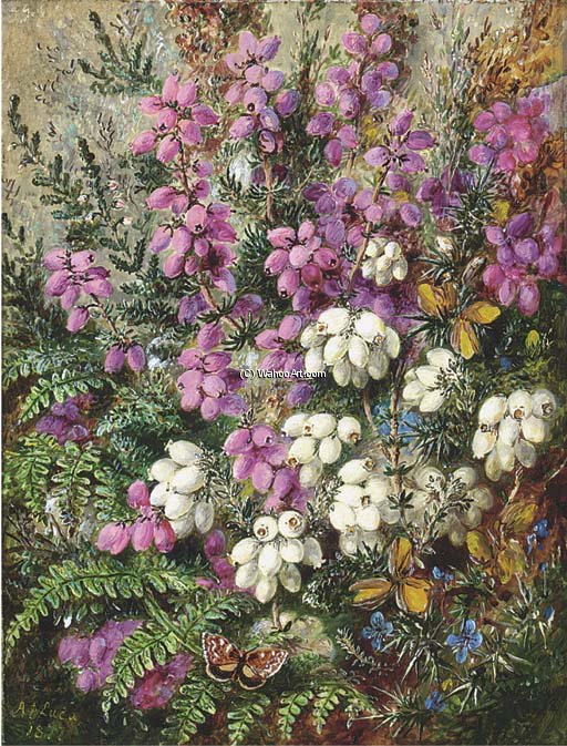 Wikioo.org - The Encyclopedia of Fine Arts - Painting, Artwork by Albrecht Durer - Wild Heath -