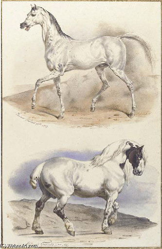 Wikioo.org - The Encyclopedia of Fine Arts - Painting, Artwork by Edouard Travies - An Arab Stallion And A Carthorse