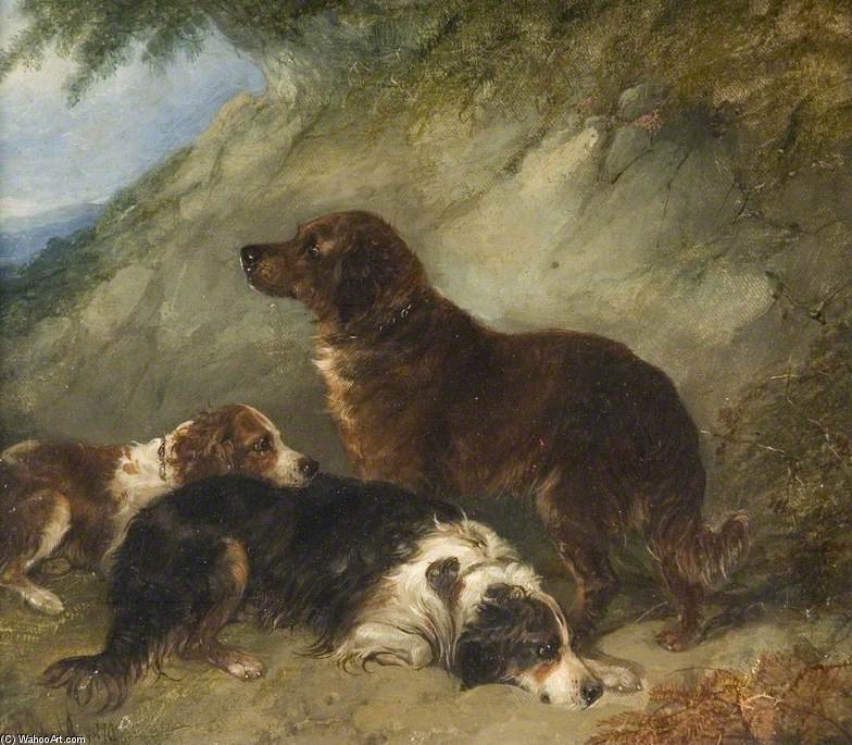 Wikioo.org - The Encyclopedia of Fine Arts - Painting, Artwork by George Armfield (Smith) - Dogs