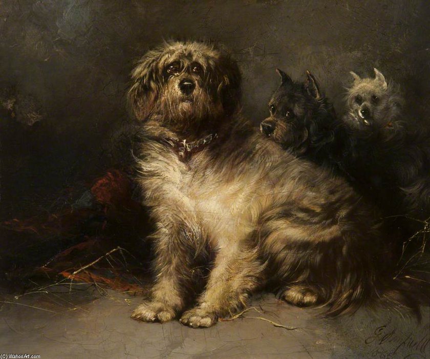 WikiOO.org - Encyclopedia of Fine Arts - Maleri, Artwork George Armfield (Smith) - Study Of Dogs