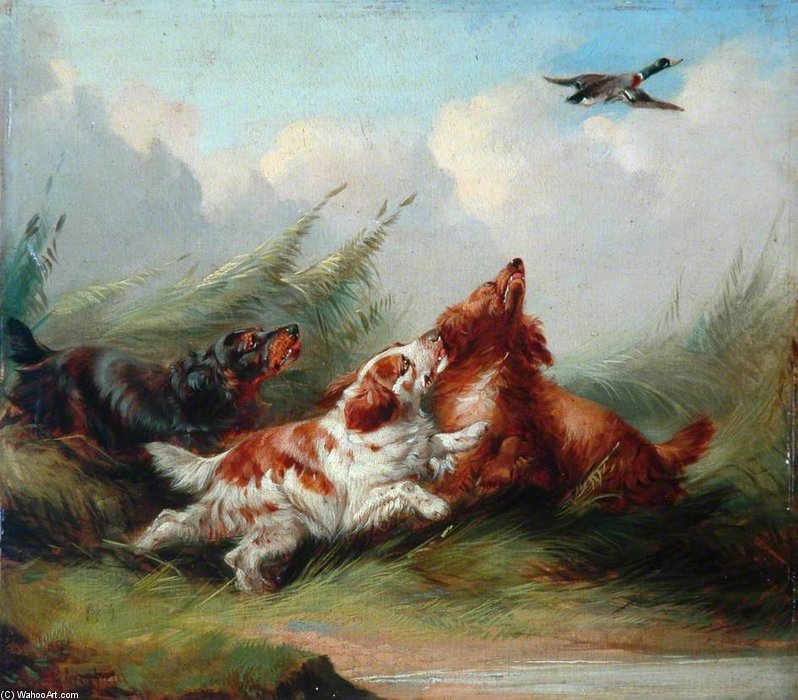 Wikioo.org - The Encyclopedia of Fine Arts - Painting, Artwork by George Armfield (Smith) - Three Spaniels And A Flying Mallard
