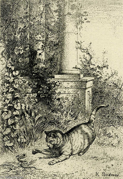 Wikioo.org - Encyklopedia Sztuk Pięknych - Malarstwo, Grafika Karl Bodmer - Cat Playing With An Adder