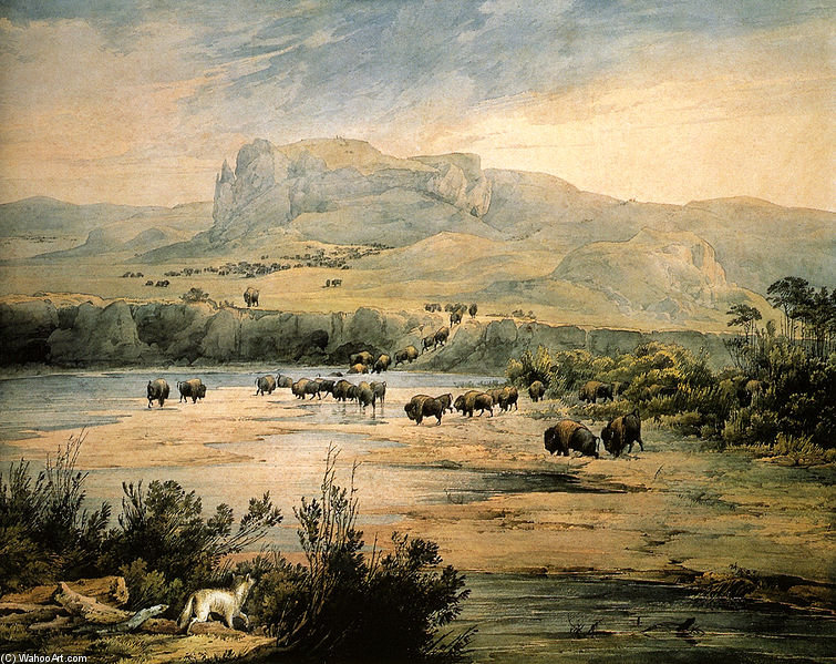Wikioo.org - The Encyclopedia of Fine Arts - Painting, Artwork by Karl Bodmer - Landscape With Herd Of Buffalo On The Upper Missouri