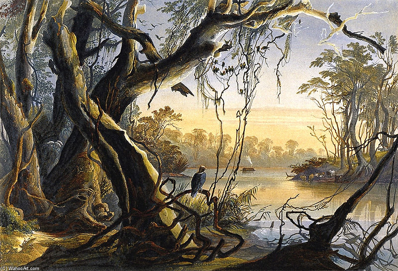Wikioo.org - The Encyclopedia of Fine Arts - Painting, Artwork by Karl Bodmer - Mouth Of Fox River