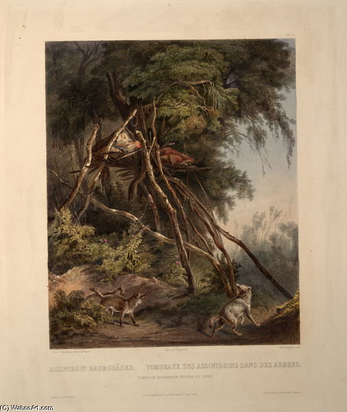 Wikioo.org - The Encyclopedia of Fine Arts - Painting, Artwork by Karl Bodmer - Tombs Of Assiniboin Indians On Trees