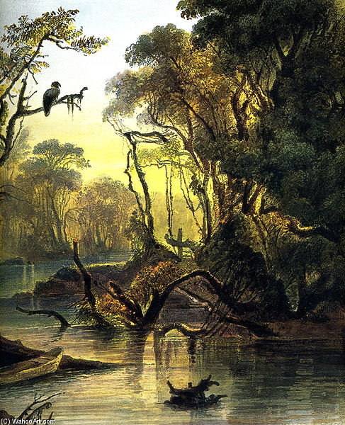 Wikioo.org - The Encyclopedia of Fine Arts - Painting, Artwork by Karl Bodmer - Wabash River Near New Harmony