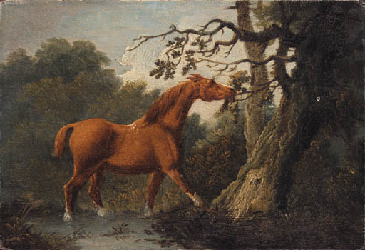 Wikioo.org - The Encyclopedia of Fine Arts - Painting, Artwork by Sawrey Gilpin - A Chestnut Horse