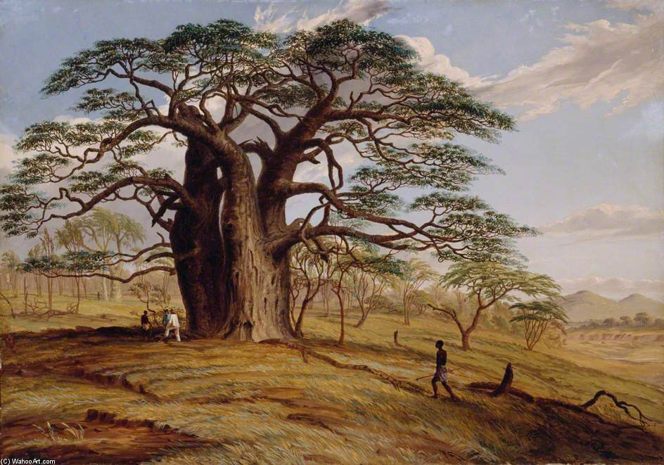 Wikioo.org - The Encyclopedia of Fine Arts - Painting, Artwork by Thomas Baines - A Baobab Near The Bank Of The Lue