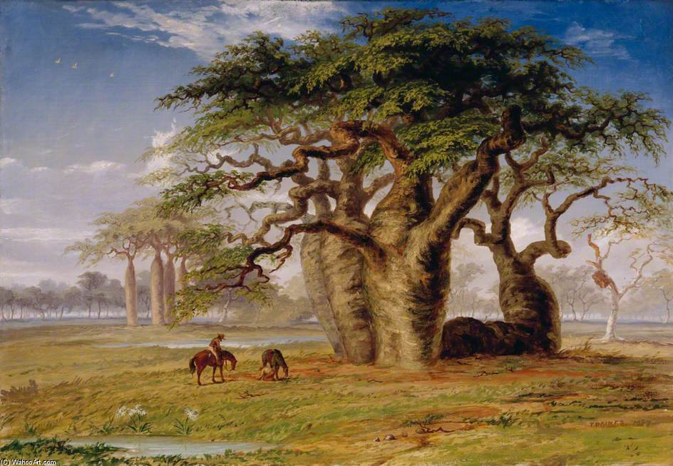 Wikioo.org - The Encyclopedia of Fine Arts - Painting, Artwork by Thomas Baines - Group Of Gouty Stem Trees, Adansonia Gregorii F. Muell., On The Baines River, North West Australia
