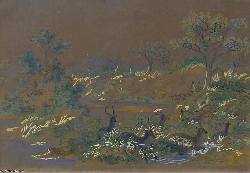 Wikioo.org - The Encyclopedia of Fine Arts - Painting, Artwork by Thomas Baines - Herd Of Antelope