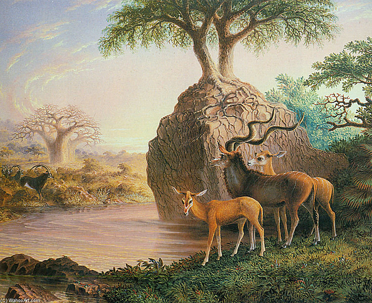 WikiOO.org - Enciclopédia das Belas Artes - Pintura, Arte por Thomas Baines - Koodos, Luisi River, Zambesi Valley