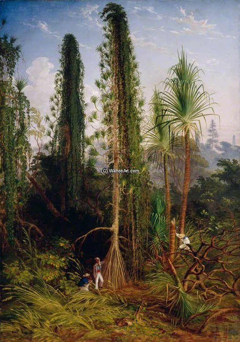 Wikioo.org - The Encyclopedia of Fine Arts - Painting, Artwork by Thomas Baines - Pandanus
